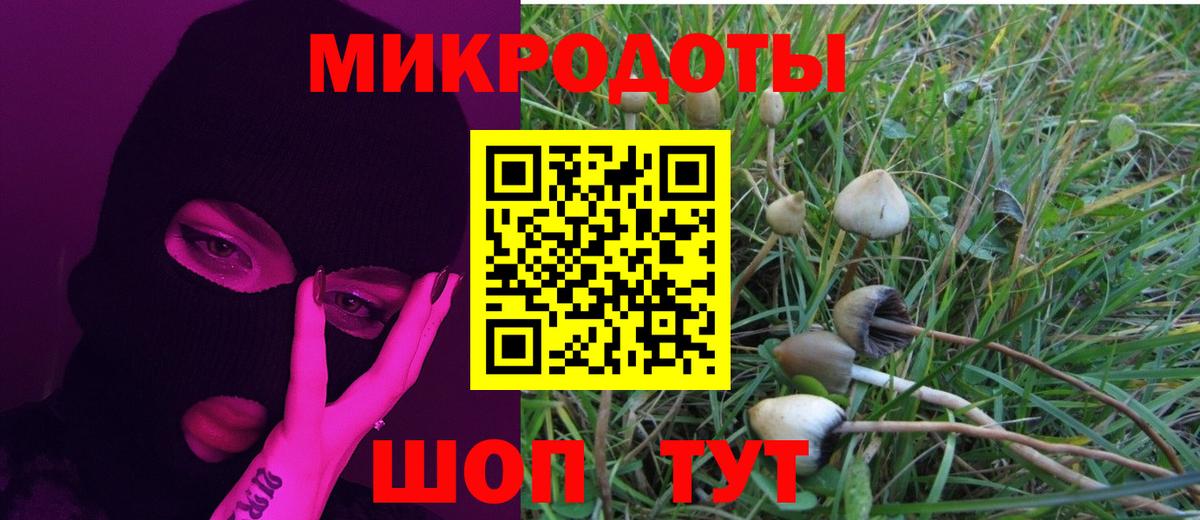 Сланцы  Псилоцибиновые грибы Psilocybine cubensis  Вход с VPN  Галлюциногенные грибы прущие грибы 