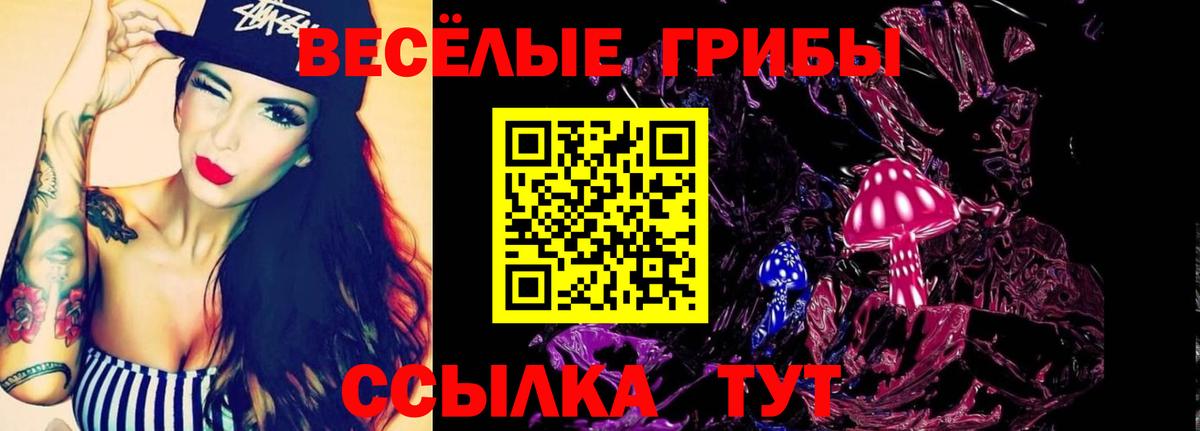 Галлюциногенные грибы Psilocybine cubensis Сланцы
